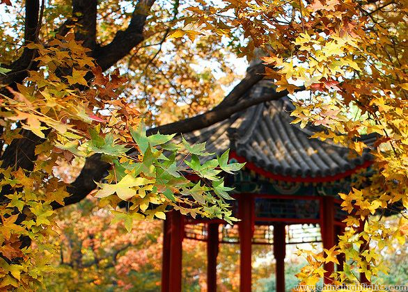 Temple marquis Wu  hou Chengdu Voyages Chine