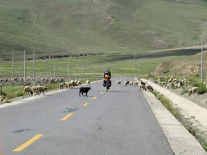 Route au Tibet