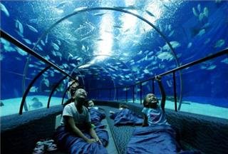 Aquarium de l'océan