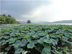 Conseil de visite à Hangzhou