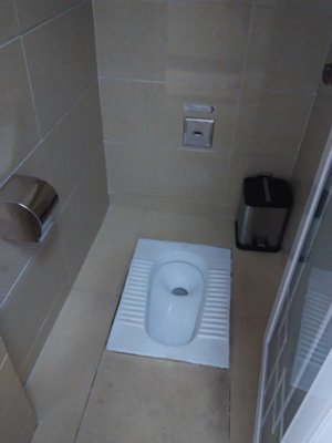 les Toilettes à la Turque
