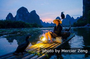 la pêche au cormoran