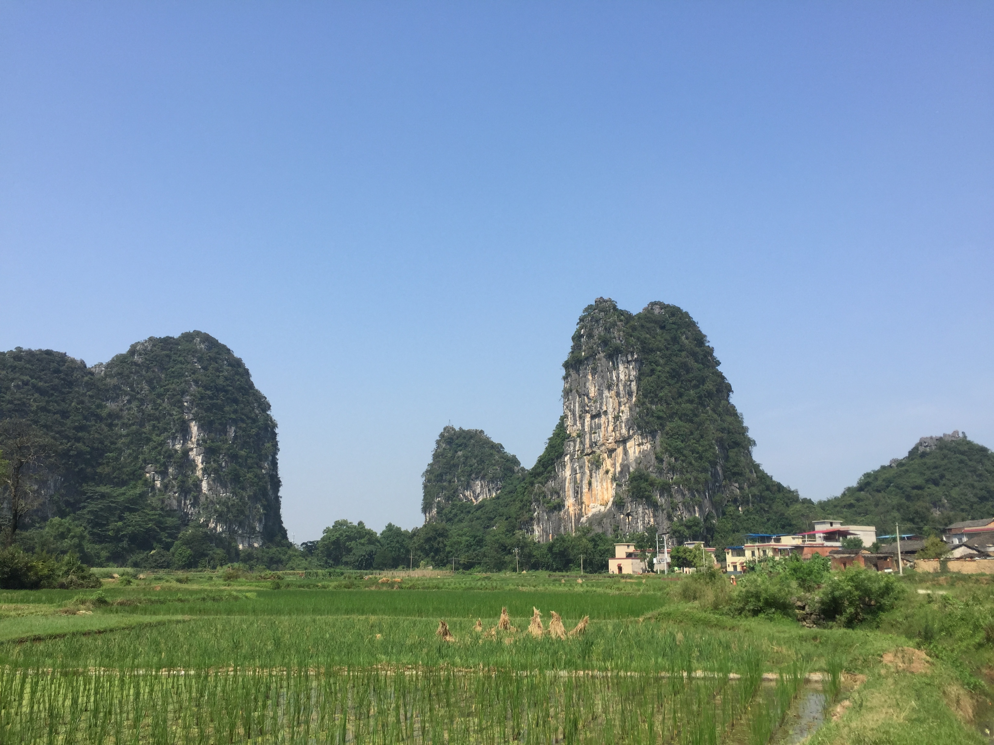 Les quatre plus beaux paysages karstiques touristiques de Chine