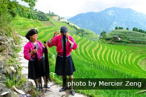 Rizières en terrasse de Longji