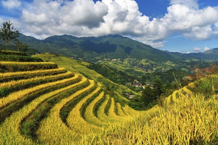 Les rizières en terrasses de Longji — les plus incroyables rizières en terrasses du monde