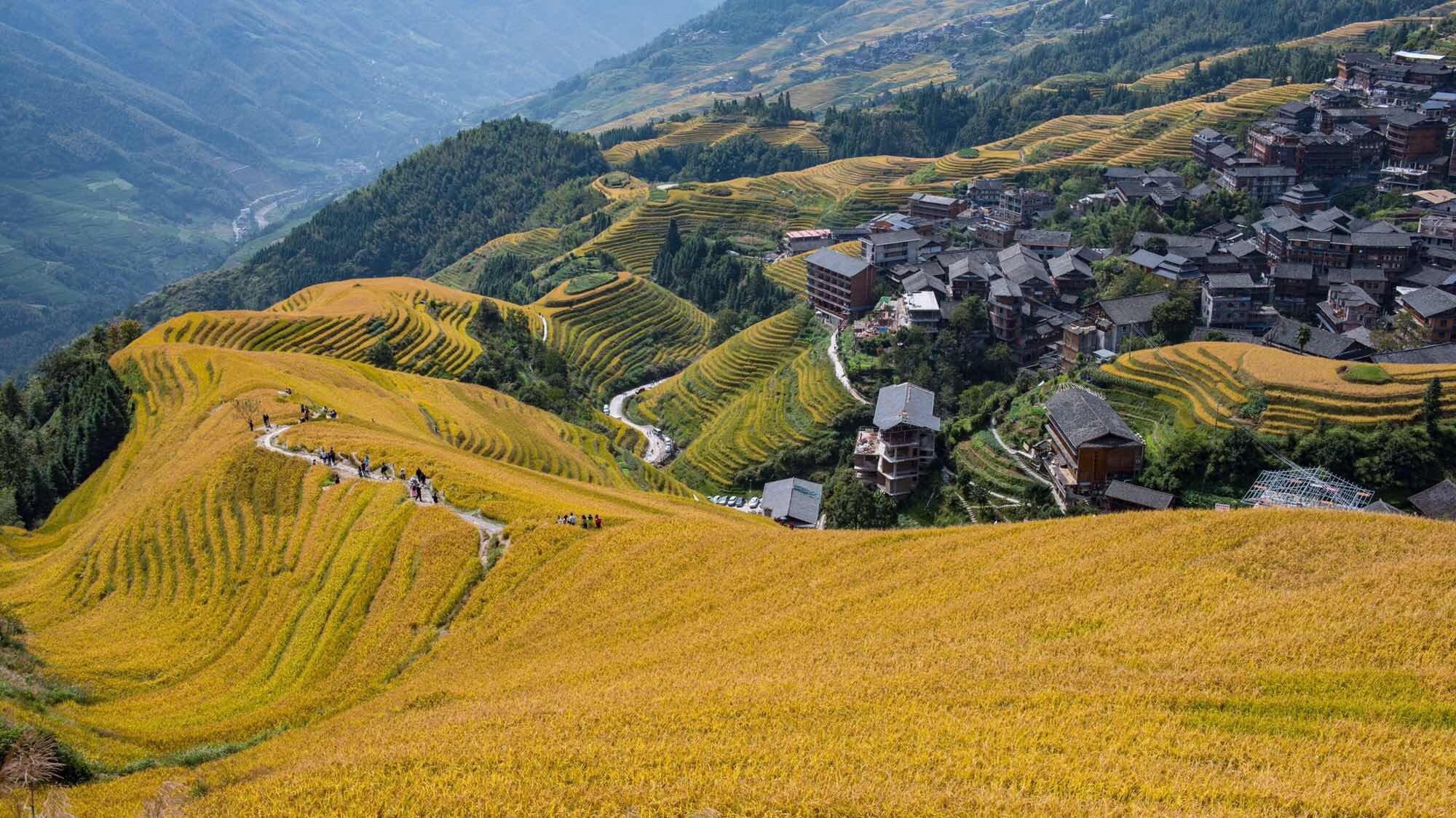 Les 5 plus belles rizières en terrasses de Chine
