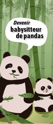 Devenir babysitteur de pandas