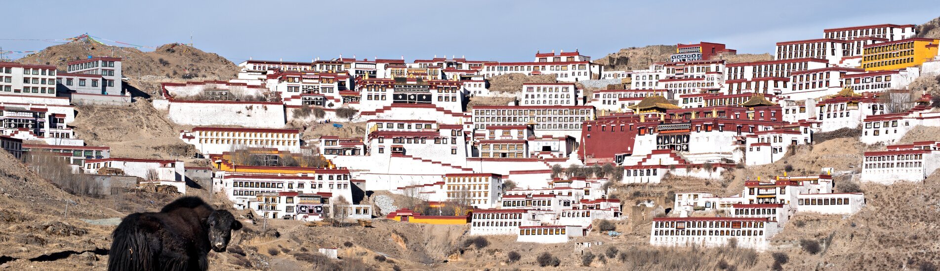 Voyage au Népal Tibet