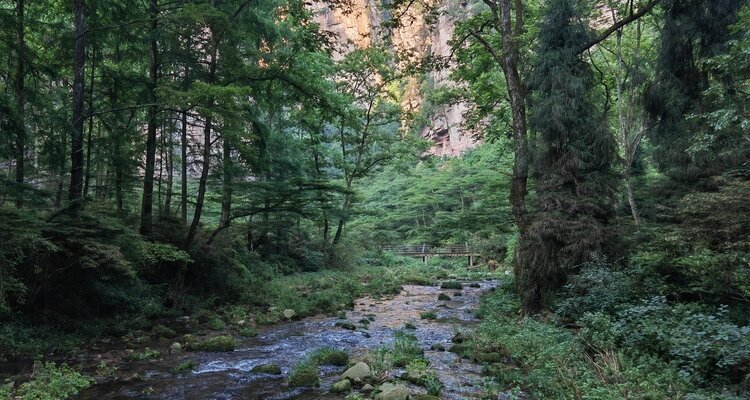 Ruisseau du fouet d'or, Jinbianxi