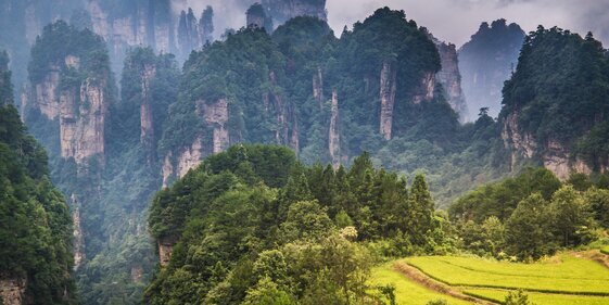 Parc forestier national de Zhangjiajie